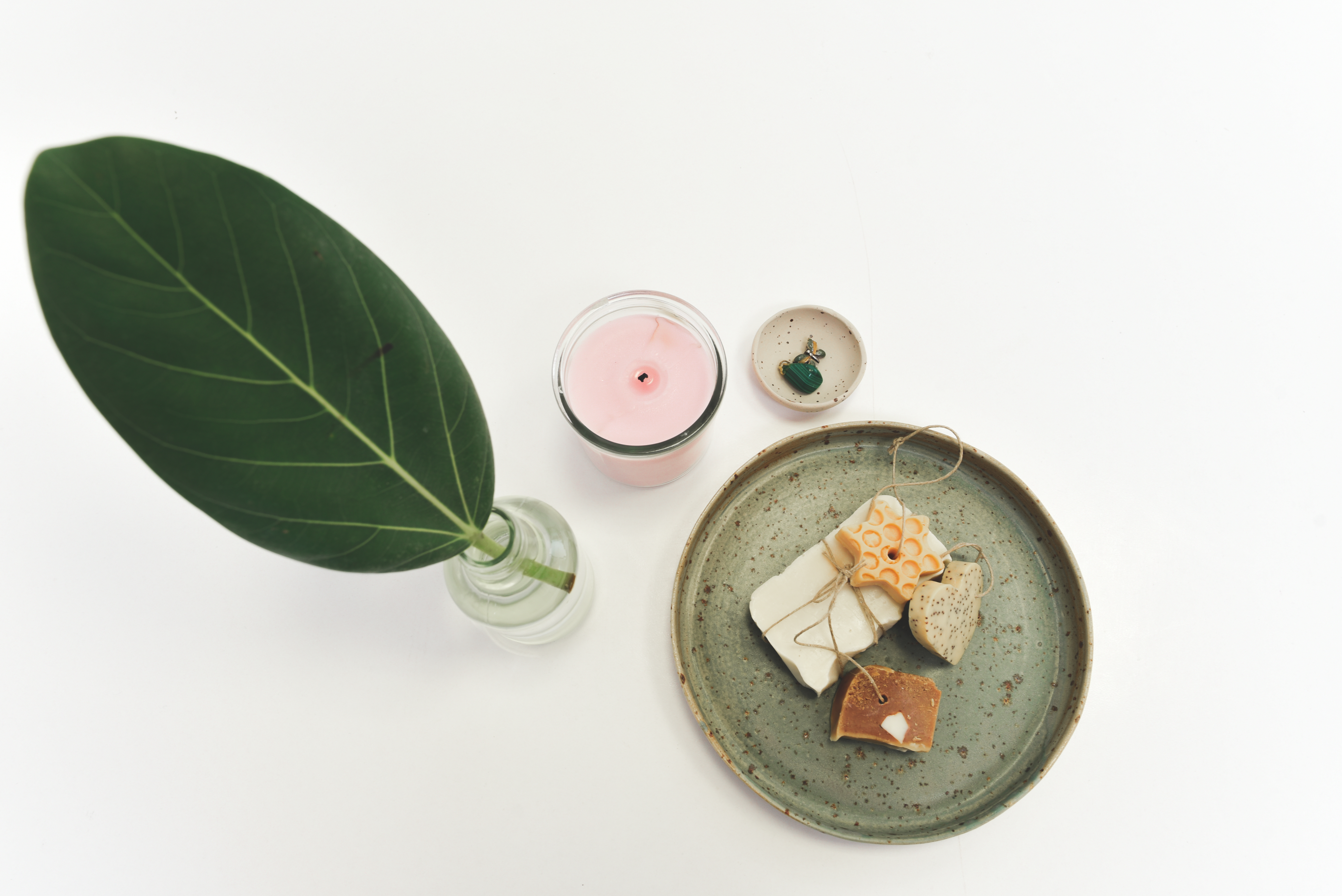 Meet my beauty translator network